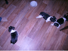 IMG 0059.JPG