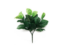 40/2899� ������ ��� ����