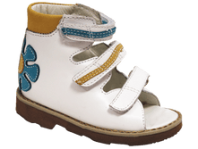 60331 ����� ������ �������.png