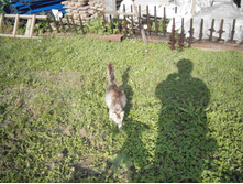 �����-����