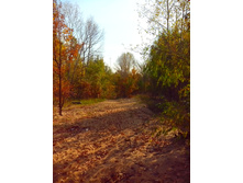 IMG 20150923 135229.jpg