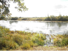 ����� ���������