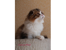 IMG 8073 — �����.JPG