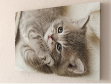 �������� ��ԣ���.jpg