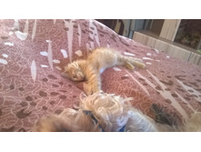 WP 20150925 15 46 59 Pro.jpg