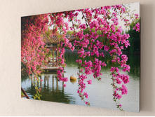 ����� � ��������� �����.jpg