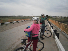 ���� ����