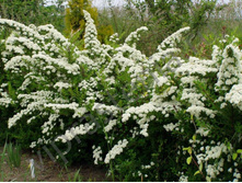 ������ ���������� ���������.122