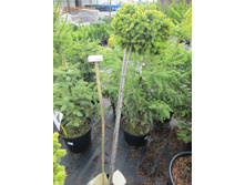 ��� ��.����������� 4800