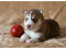 №4 �������