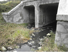 ����� ��� �� ������.