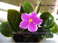 �� ���� �����