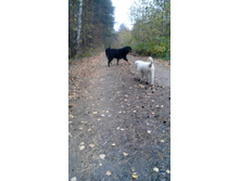 IMG 20150929 144838.jpg