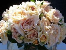 Amelie Nothomb 9,25.jpg