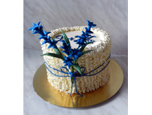 ��������� ���� �����.jpg