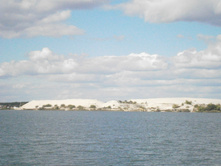 �������� ����� �� ������