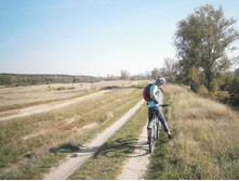 ����������� ��������