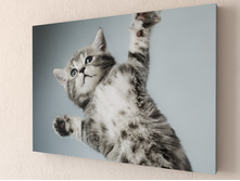 ������� ��ԣ���.jpg