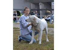 ���� �������