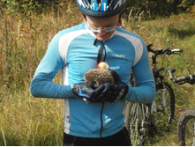 ���������