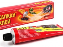 ������ ���� �� �������� 135� 76�.jpg