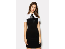 ������ POLLY ������ �������: CRD1504/3781