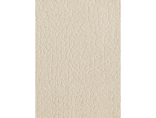 ������ ���.jpg