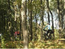 ���������� ����