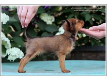 2 ������