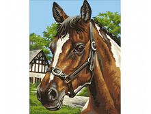 9240381 ������ ���� 1058 ���..jpg