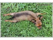 2 ������