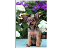 2 ������