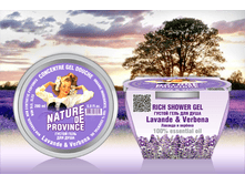 ������ ���� ��� ����