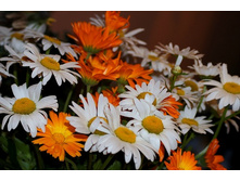 �������� ���������� � �������� � ���������� ��� �������� ������� 62 ���.jpg