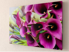 ��������� �����.jpg