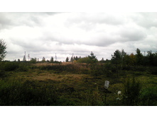 ������� 10 ����� ��� ��������