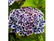 ��������� ������ ���� No2