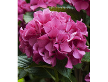 ��������� ���� 141�