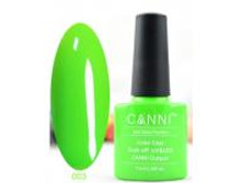 Gellak Shellac CANNI 3 min.jpg