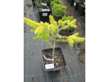 �.������ ������1300