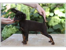 3 ������