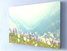 ������ �����.jpg