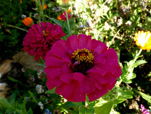 P1050332.JPG