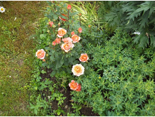 �� ������.jpg