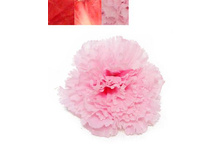 406/0453� ������ ��������(12��/��)