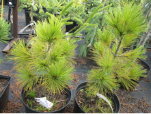 �.����������� ������1400