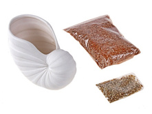 �������� ����� �������.jpg