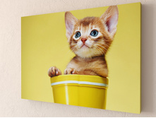 ��ԣ��� �����.jpg