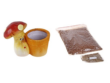 �������� ����� ������ � ���������.jpg