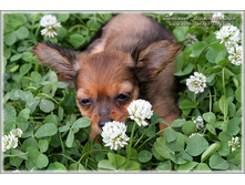 2 ������